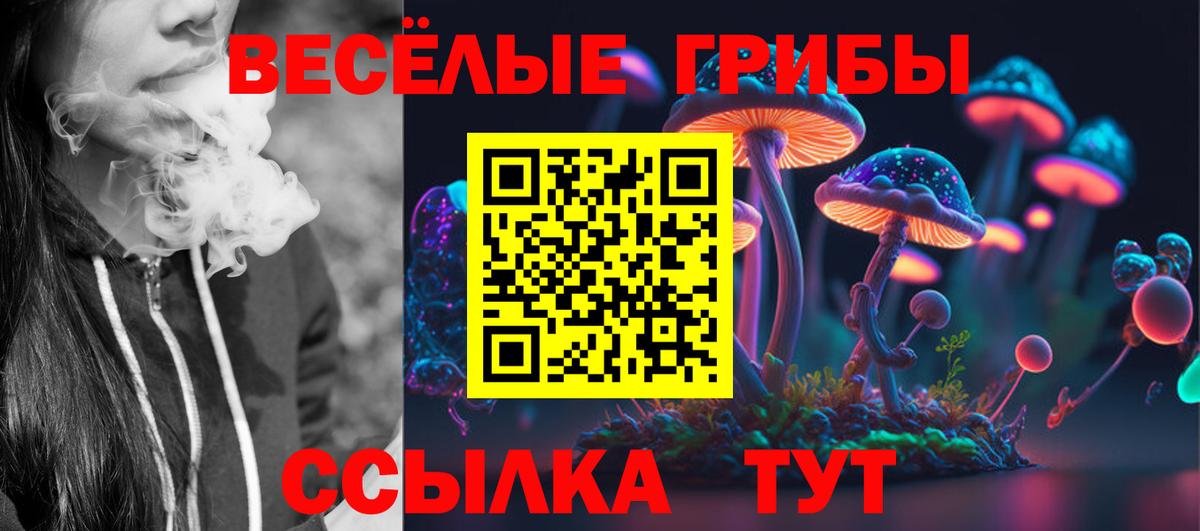 Галлюциногенные грибы ЛСД Владимир